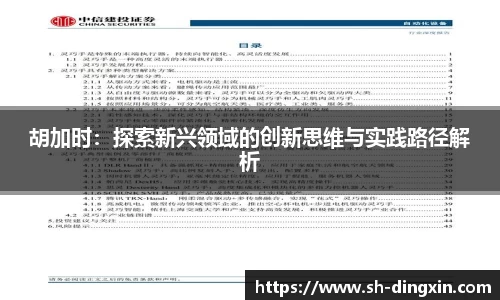 胡加时：探索新兴领域的创新思维与实践路径解析